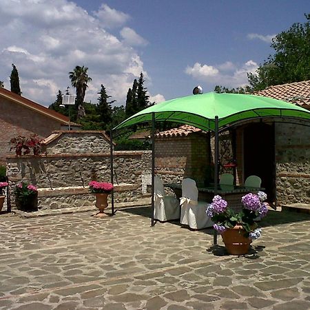 Societa Agricola Mg Florplant Villa Francavilla Marittima Kültér fotó