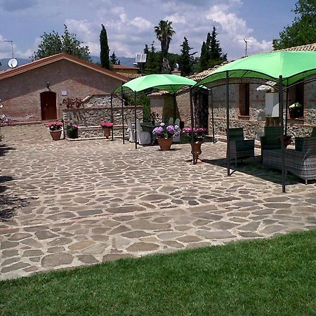 Societa Agricola Mg Florplant Villa Francavilla Marittima Kültér fotó