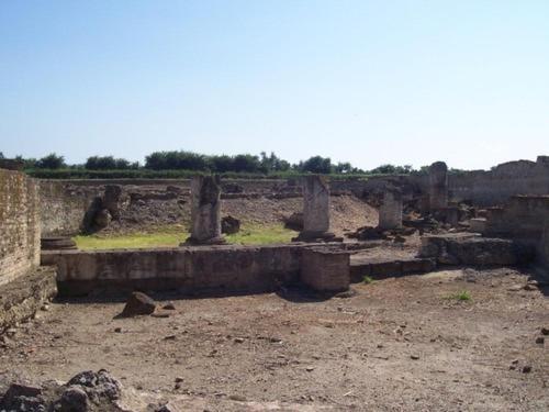 Societa Agricola Mg Florplant Villa Francavilla Marittima Kültér fotó