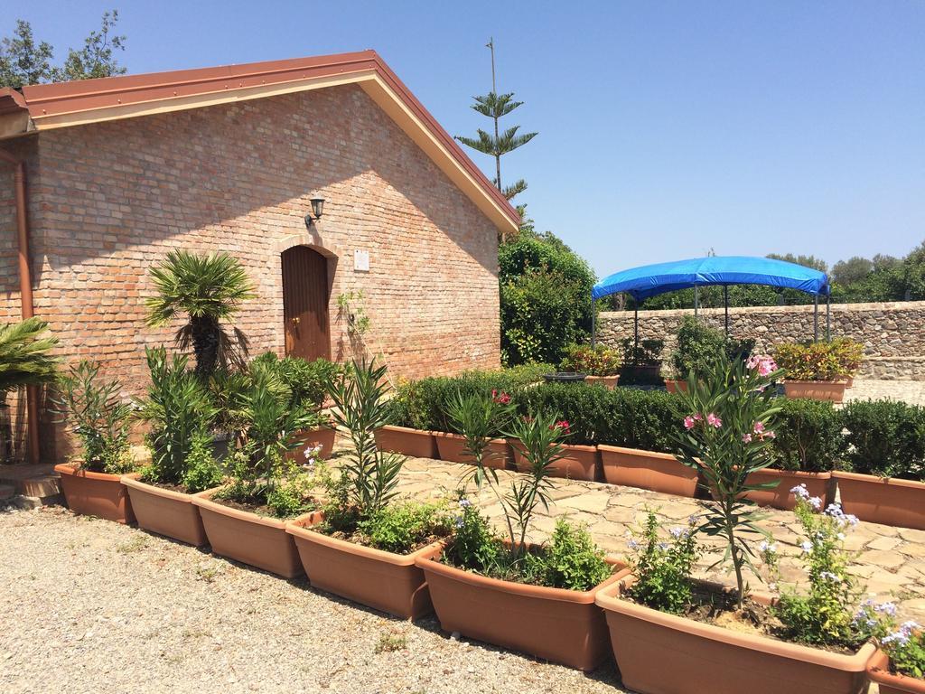 Societa Agricola Mg Florplant Villa Francavilla Marittima Kültér fotó