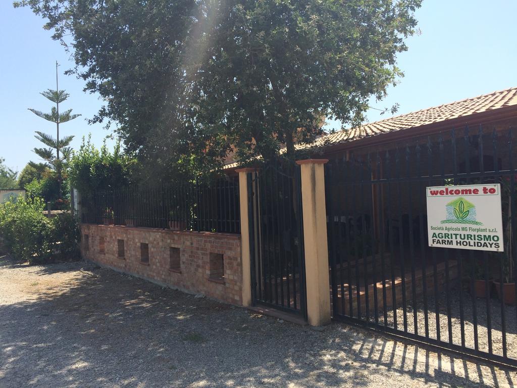 Societa Agricola Mg Florplant Villa Francavilla Marittima Kültér fotó