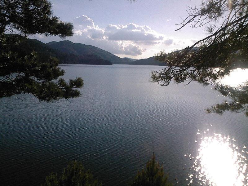 Societa Agricola Mg Florplant Villa Francavilla Marittima Kültér fotó